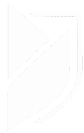 modern-tulip.com